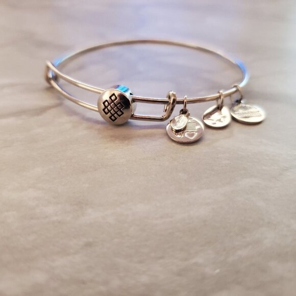 💖 Alex and Ani Endless Know Silver Expandable Charm Bracelet 💖 - Picture 1 of 4